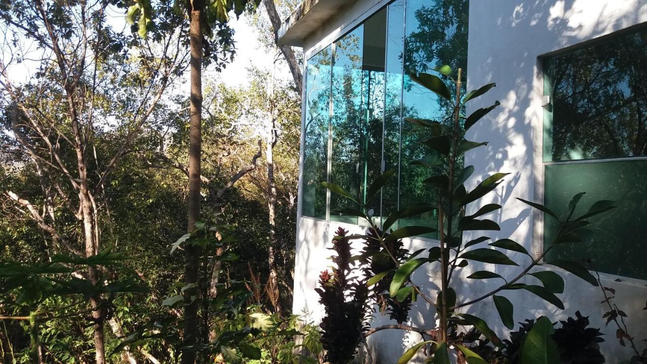 Morada Dos Elfos Villa Vale do Capao Eksteriør billede