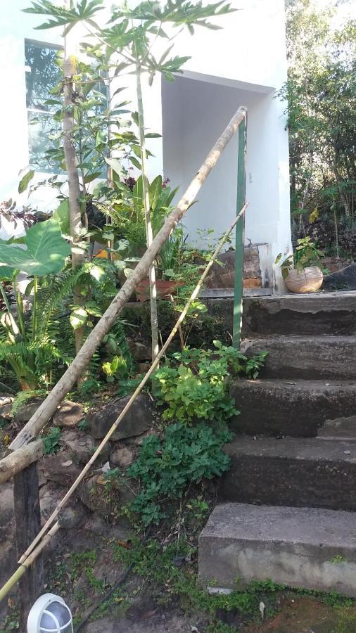 Morada Dos Elfos Villa Vale do Capao Eksteriør billede