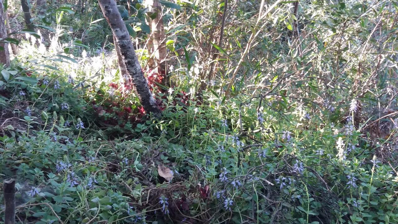 Morada Dos Elfos Villa Vale do Capao Eksteriør billede