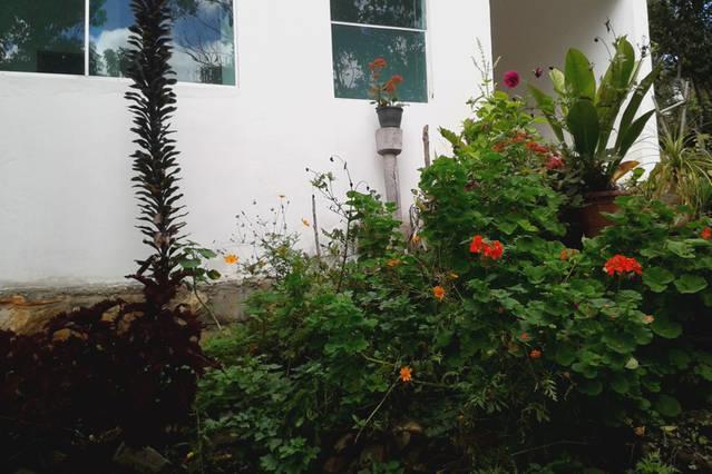Morada Dos Elfos Villa Vale do Capao Eksteriør billede